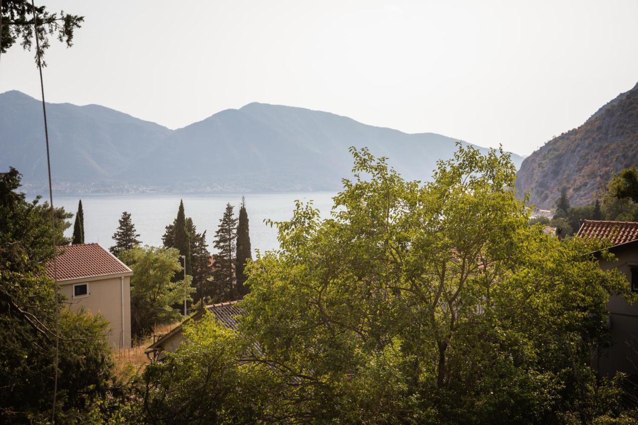 Apartmani Peko Kotor Kültér fotó