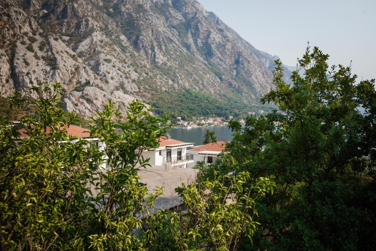 Apartmani Peko Kotor Kültér fotó